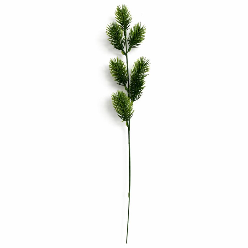 45 Plant, 1