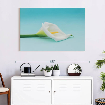 Harnek Calla Lily Bloom