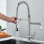 Belfry Kitchen Cyron Pull Out Kitchen Faucet