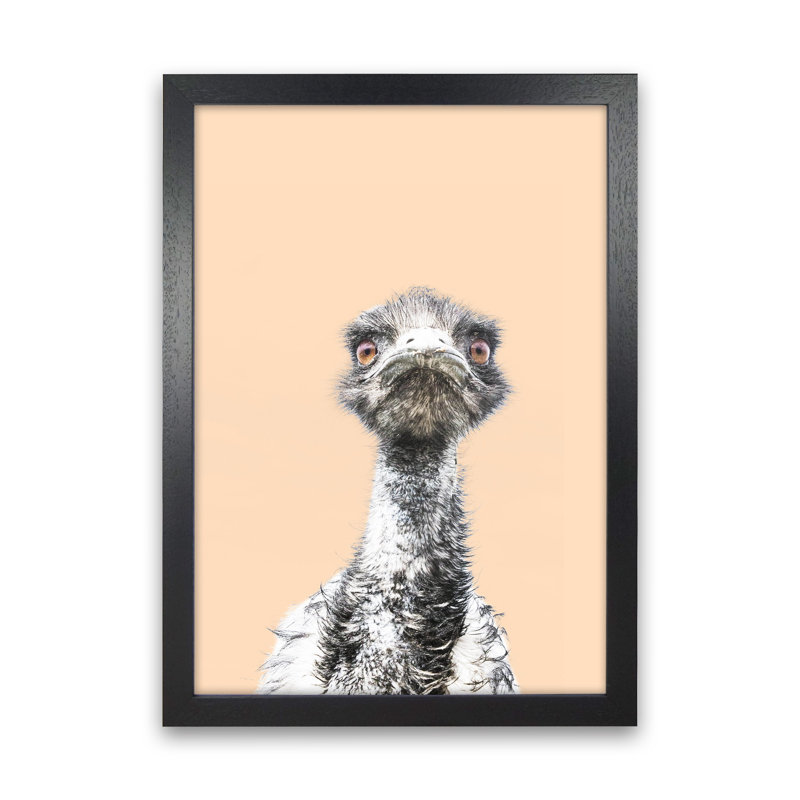 Orange Emu by Victoria Frost - Print, Black Framed, 88cm H x 64cm W x 3cm D
