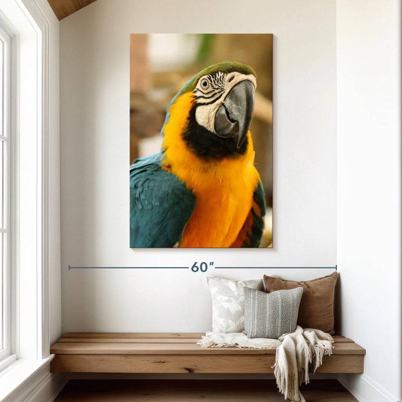 Brampt Exotic Macaw, 48" H x 32" W