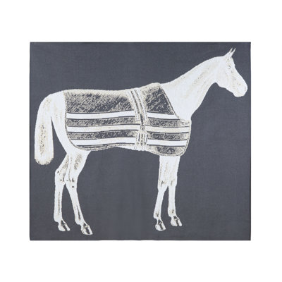 Jeté Thoroughbred