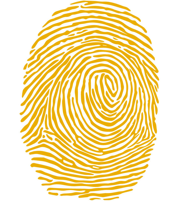 Décalcomanie murale à empreinte digitale, Jaune signalisation, H 30 po x l 21 po x P 0,01 po