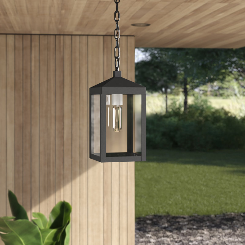 Lanterne suspendue d'extérieur à 1 lumière H 14,5 po Inniss, Noir
