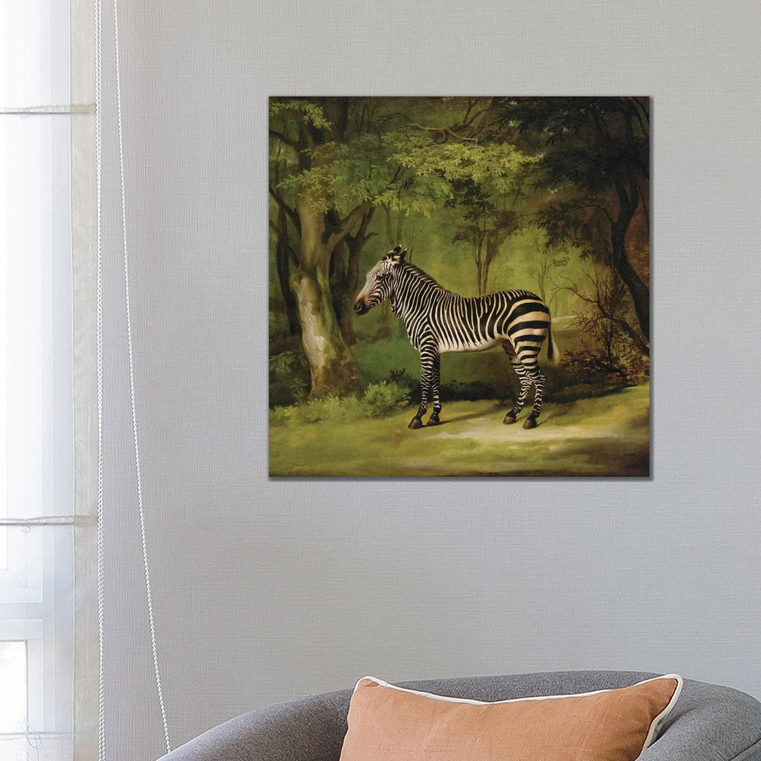A Zebra, 1763 by George Stubbs - Painting on Canvas