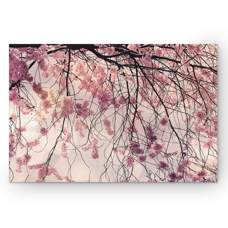 « spring song » par irene weisz, reproduction de photo sur toile tendue, H 32 po x l 48 po x P 1,5 po