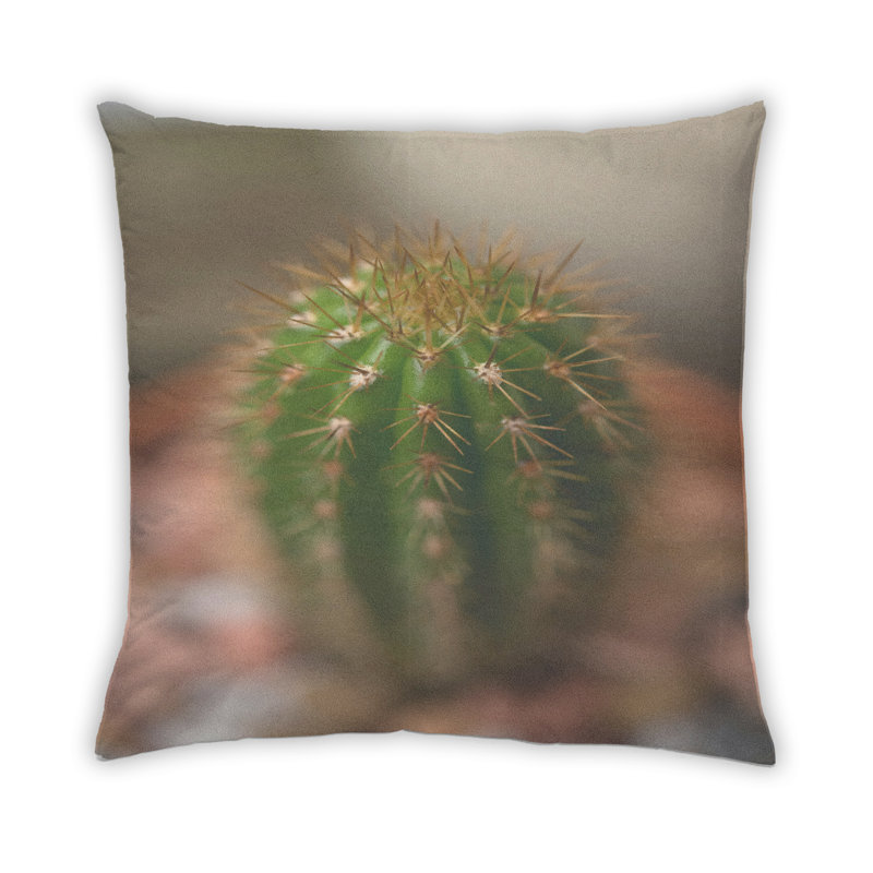 Coussin Plants Cactus 12, Microsuède