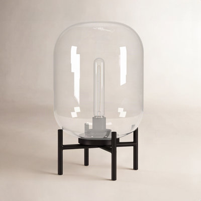Danae Novelty Lamp