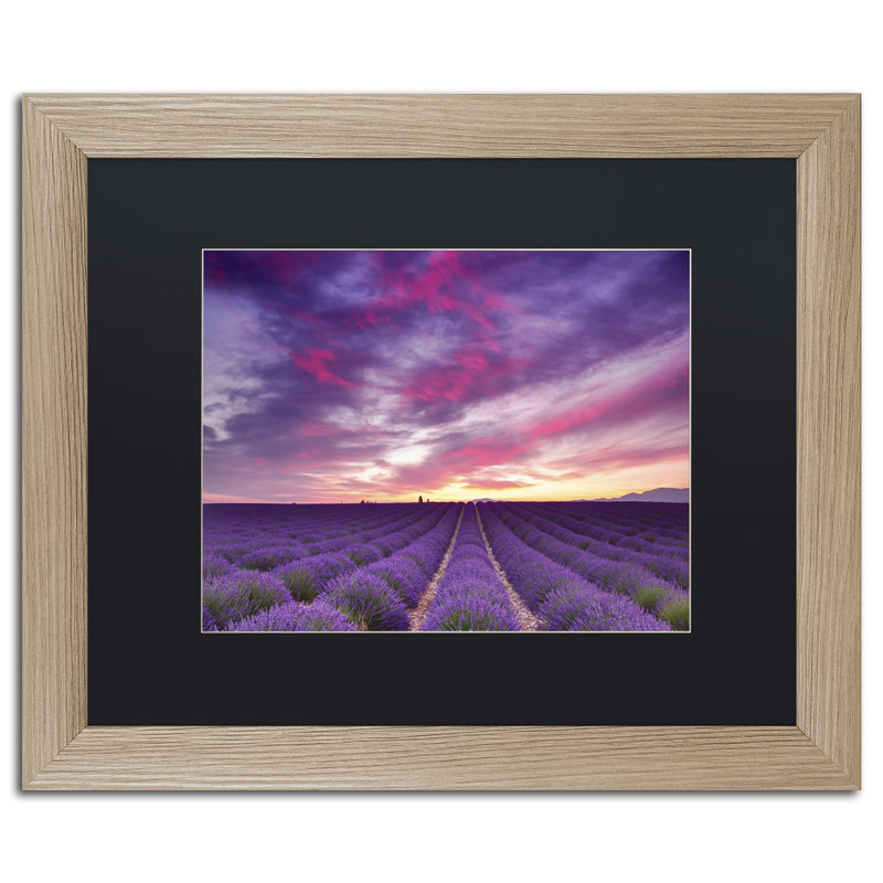 «Pink and Purple», impression sur toile encadrée, H 11 po x l 14 po, Noir, Toile avec cadre argenté