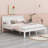 Shauna Bed-699055336-699055339