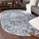 Boylan Oriental Indoor Rug