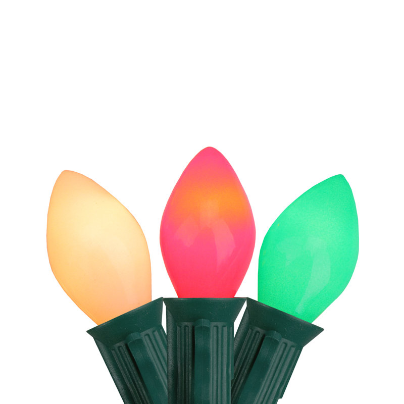 Guirlande de 25 lumières C9, Transparent/blanc