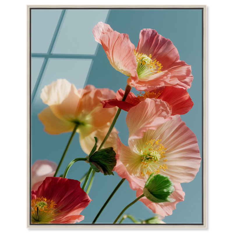 Poppy Bloom III High-Gloss Frameless Acrylic Glass Wall Art Floral & Botanical Print by Oliver Gal, Ready to Hang, 16 x 20