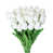 Blanc sélectionné