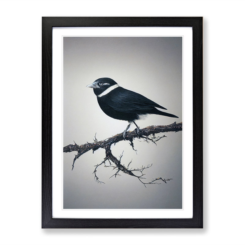 Bird Upon A Tree - Wall Art, Black Framed, 66cm H x 48cm W x 2cm D, White