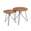 Dolly Nesting Tables-30323249