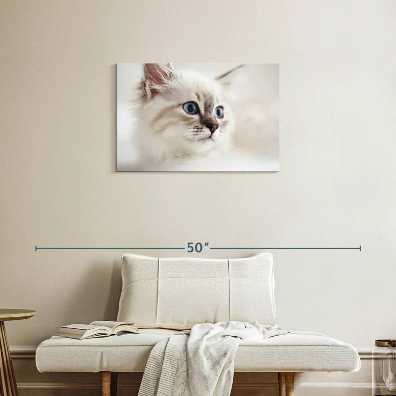Brampt Neva Masquerade Cat, 20" H x 30" W