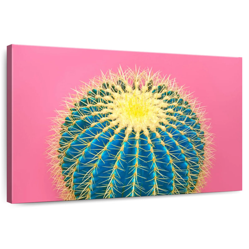 Harnek Funky Cactus, H 16 po x l 24 po