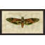 Crackled Moth 6 Painting