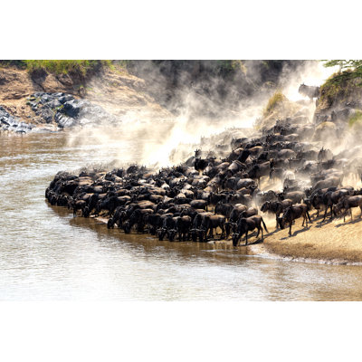 Wildebeest Migration In Kenya by 1001slide - Wrapped Canvas Print