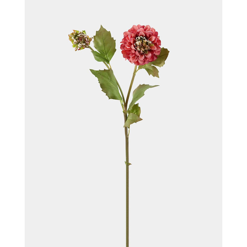 Dahlia 20 po mauve, Mauve