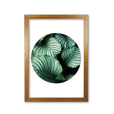 Leaves Circle - Print