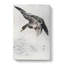 Duck by Watanabe Seitei - Wrapped Canvas-55311873