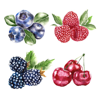 «Watercolor Berry» par Rina_Ro - peinture sur toile tendue