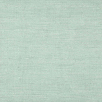 Indoor Rug