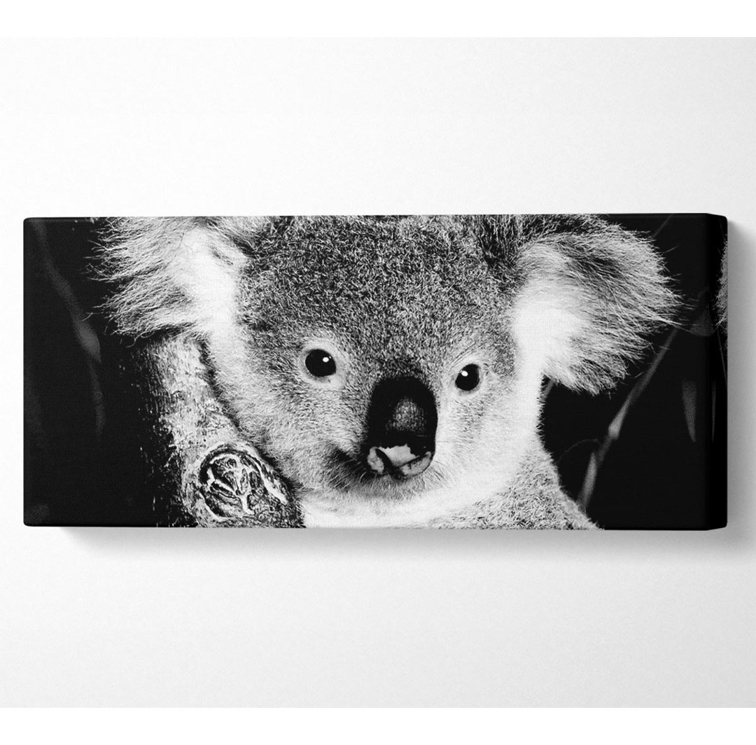 Koala Bär Panoramaleinwand