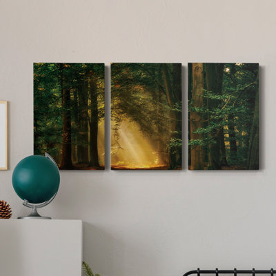 " Shine On " 3 - Pieces