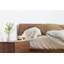 Simple Bed W/Headboard | Full-127465097-127465100