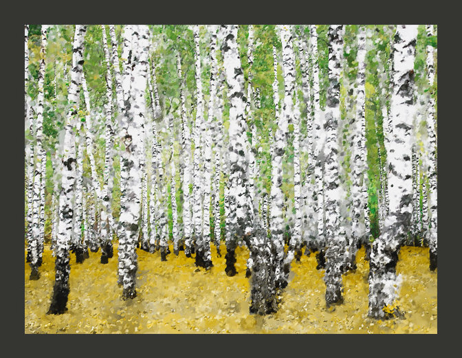 In Birch Grove... 1.93m x 250cm Wallpaper, 350 cm x 270 cm