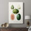 Variétés de fruits et légumes - Cavas enveloppés de galerie-617382050