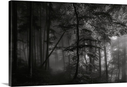 « matinée light » par norbert maier, reproduction de photo sur toile, H 16 po x l 24 po x P 1,25 po