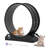 Emmani 33.5'' Noiseless and Lockable Cat Treadmill Exercise Running Wheel-2129253071