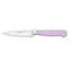 WÜSTHOF Classic Color Pink Himalayan Salt 3.5" Paring Knife-126061110