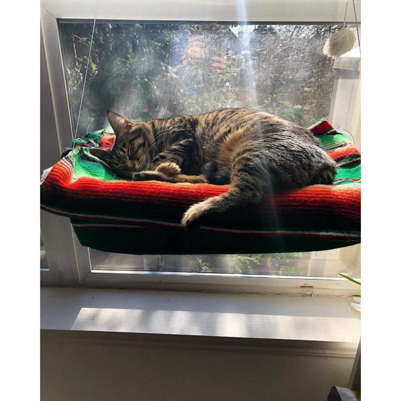 Lit pour animaux Eslyn, Moyen L 21,7 po x l 13,8 po