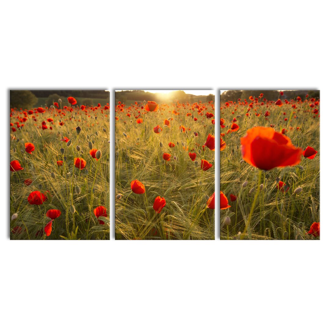 3-tlg. Leinwandbilder-Set Poppy Field at Sunset