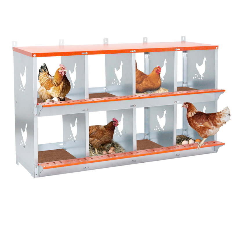 Nichoir mural en acier galvanisé ventilé orange pour canards, avec 8 nids en métal, ramassage facile des œufs et tapis en noix de coco. Équipement de poulailler à assembler.
