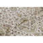 Chantel Oriental Area Rug