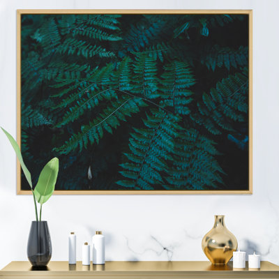 Brownies vert foncé - photographie sur toile
