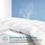 Édredon en duvet d'oie toutes saisons 750 pi, insert de couette Hotel Collection-210903459