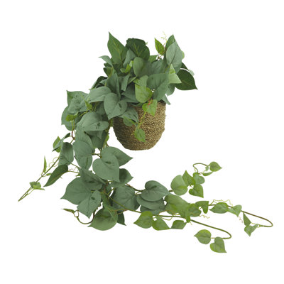 Meda Faux Ivy Plant in Pot