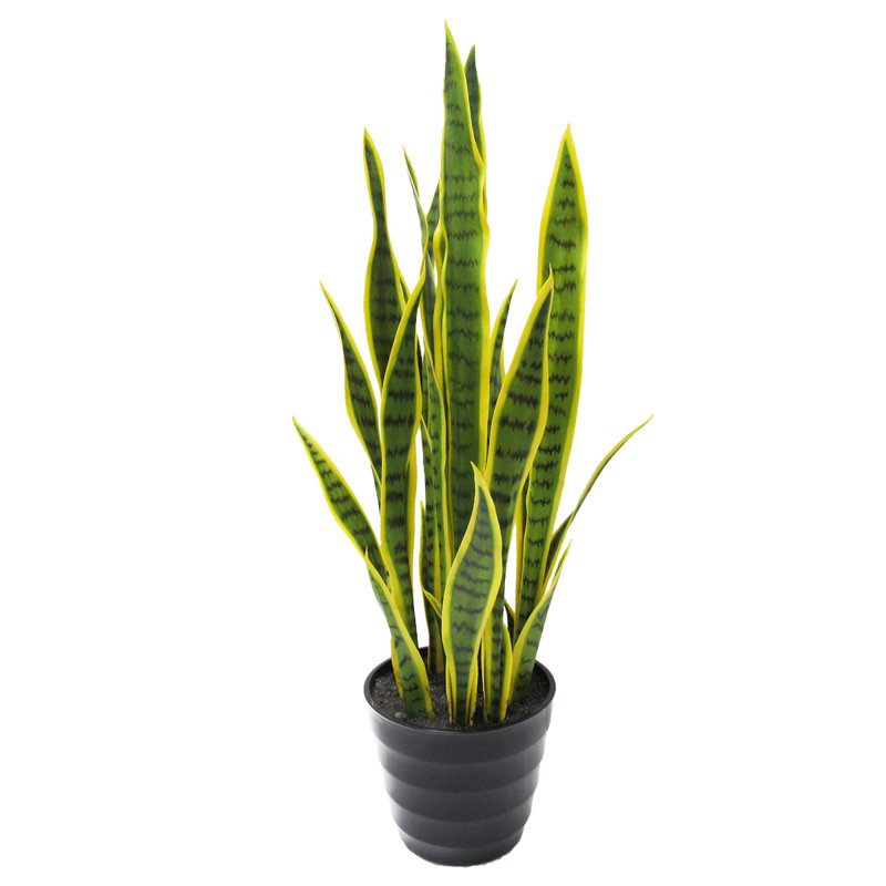 Plante de serpent artificielle Sansevieria en pot, Vert foncé / jaune, 32" H x 10" W