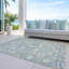 Tapis intérieur / extérieur lavable à la machine Chayden ACN1086 Sky-100138148