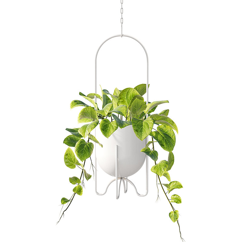 Boîte à fleurs blanche suspendue en métal de 5 pouces, fenêtre intérieure / extérieure, porche, balcon, table - sans chaînes ni crochets