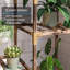 Support pour plante en bois massif Camorah