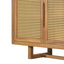 Armoire de rangement Adair Mid-Century moderne en bois d'acacia avec portes en osier de polyéthylène pour patio et jardin