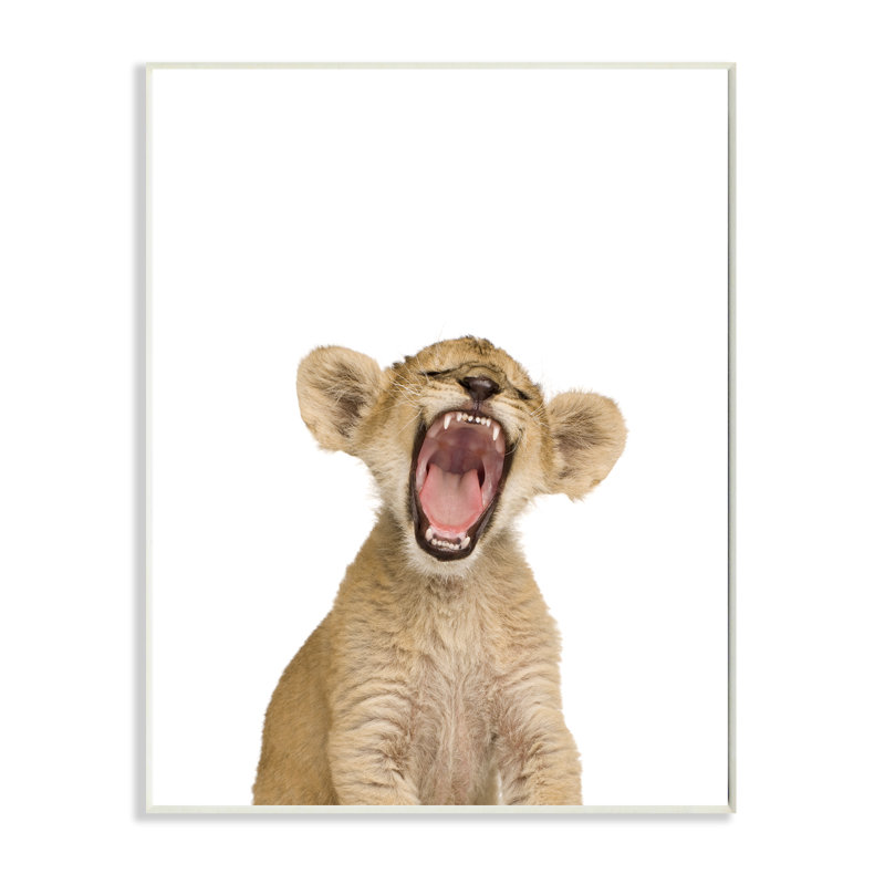 Plaque murale photo lion lion studio
